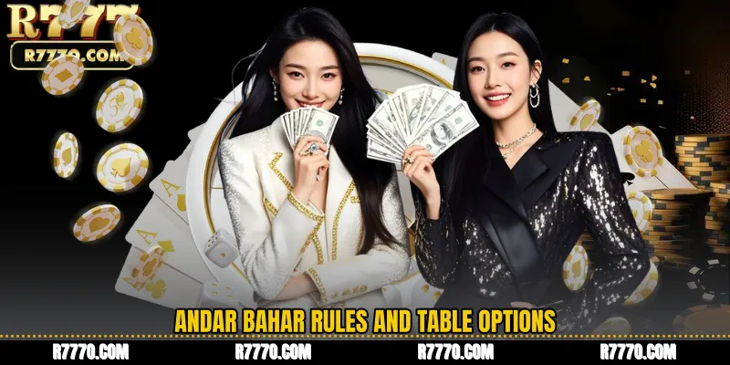 Andar Bahar Rules and Table Options