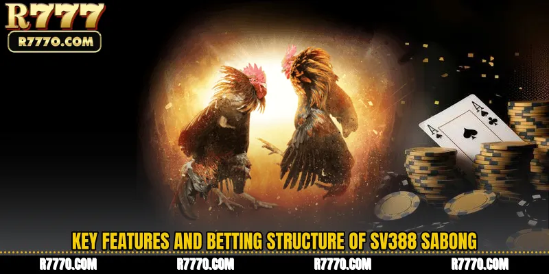 Key Features and Betting Structure of SV388 Sabong